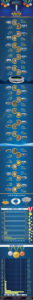 Value of Gold Medals Infographic