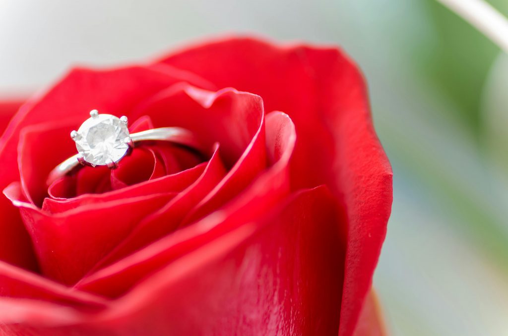 diamond engagement ring in a red rose
