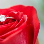 diamond engagement ring in a red rose